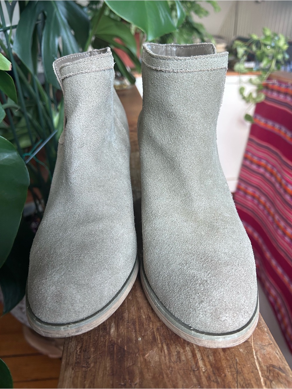 URBAN OUTFITTERS • Suede Ankle Booties in Light Gray-Taupe